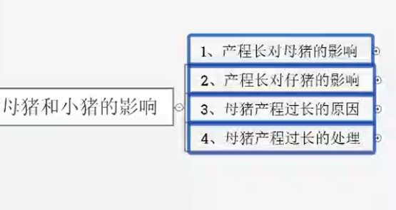养猪技术：母猪产子产程过长的治疗方法