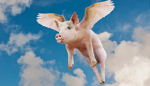 畜牧 | 全国两会开启!养猪户需要关注这几大类议题