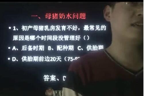 母猪奶水不好，最容易出问题的是哪个环节？