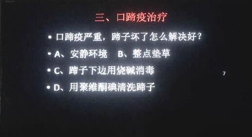口蹄疫，蹄子坏了如何处理？