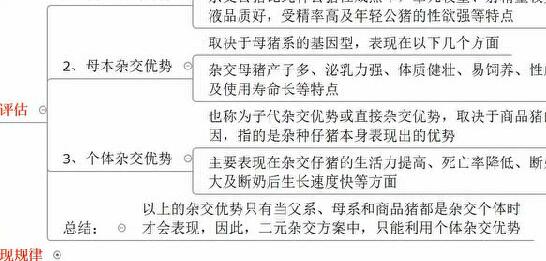 种猪杂交技术，教你选择培育品种优良的猪！