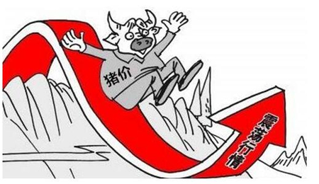 这么做的养猪人，才不怕猪价下跌，才是真正的养猪人！