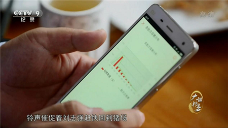 央视眼中的智慧养猪是这样的，养猪十分简单