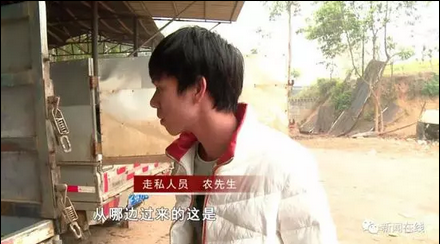 大量货车转运走私冻肉，广西南宁两处走私窝点被端！