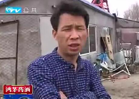天灾还是人祸？猪圈着火带崽的猪全被烧死了！