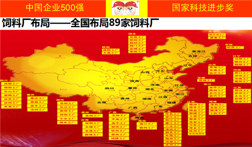 企业要发展是自建平台or借助平台？双胞胎的“专业分工，平台共享”！