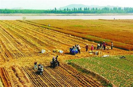 最新！李克强总理提名韩长赋为农业农村部部长