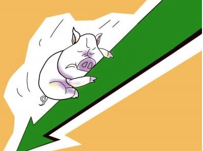 生猪价格创十年最低 养殖户卖头猪要贴260元