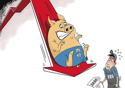 再遇“猪周期”，养殖行业面临洗牌……