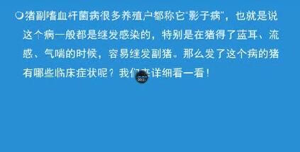 猪场影子病治疗没效果？你可能是用错组方了！