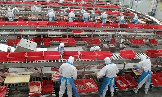 业绩增长20年来首次停滞 双汇发展还是“白马股“吗?