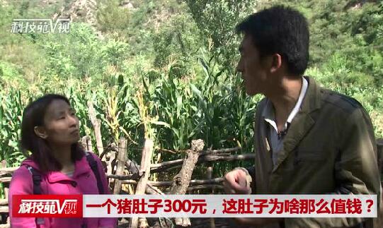 一个猪肚子300元，这肚子为啥那么值钱？