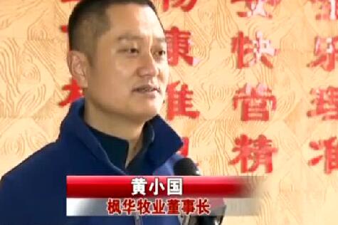 “猪倌”黄小国：科技打造养猪业阿里，大数据引入养猪业