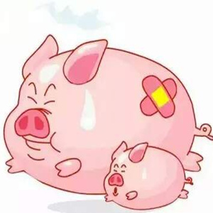 打私办主任为走私人员一路“开绿灯”获刑十年？