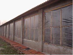 猪场建设需注意的一些方面？如何规避猪场规划设计不合理？