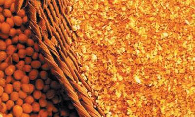 中美贸易战开打！豆粕猛涨对养猪业影响究竟有多大？