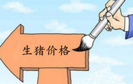清明节已至，小长假能否带动猪价持续上涨？
