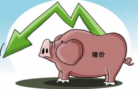 今天猪价又跌不少！但分析过去10年经验：二季度有望反弹
