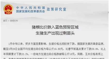 ​这次猪价有救了？发改委发声着力挽救猪市 ! 
