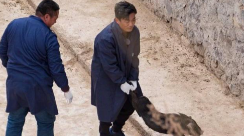 王宝强亲自养猪，竞选贫困村村长，下猪圈抓猪搞笑了... ...