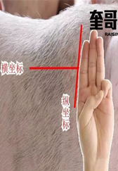 养猪人注意：给猪打针，这3点不注意就是白搭！