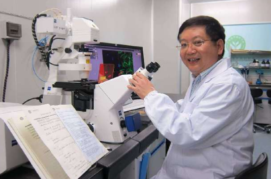 买这么贵的土猪肉值不值？研究猪近30年的农科专家说……