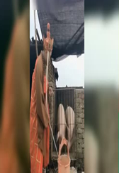 唐三藏居然喂猪！