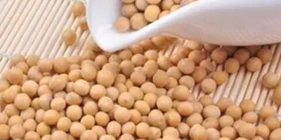 贸易战对猪肉大豆影响会持续多久？国内食企已备足货源应对！