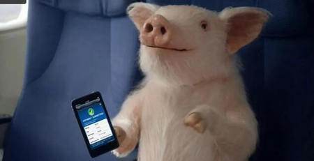 困难与机遇：网易、阿里探索智能养猪新模式！