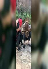 我看你就适合回家养猪，笑死我了！！！