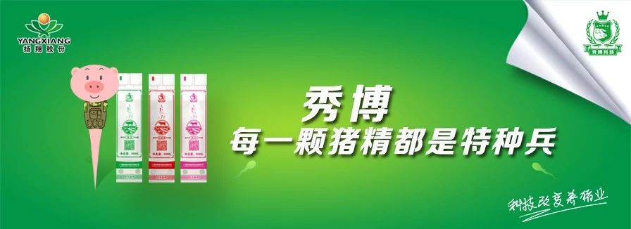 猪价不如意？那也无法阻挡我想要进步的心……