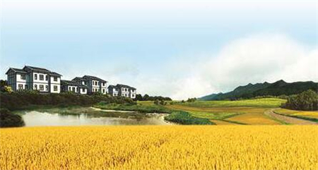 农村开荒地能确权吗？土地确权需要缴费吗？