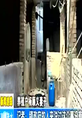 麦积区花牛镇一农户村内养猪影响环境 养猪农户至今未搬离