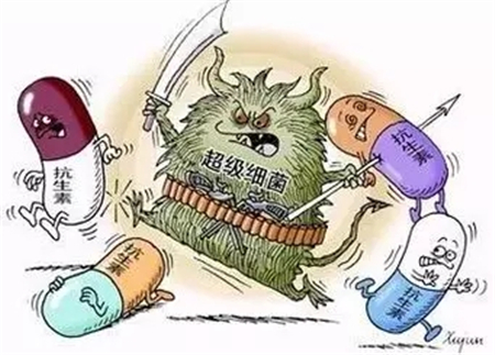 减抗时代要来了？药物饲料添加剂将在2020年全部退出...