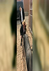 阿厦请了个猪才师，这也是技术太高了呀