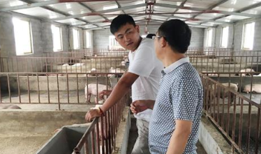 值得深思！中小型养猪场的建设问题出在哪？