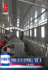 大方县养殖能人张习兵技术养猪走上 致富 路