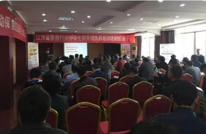 双胞胎集团助力6000个猪场开展科学养猪？