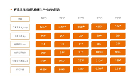 天兆猪业：六维度发力实现猪舍精细化饲养管理
