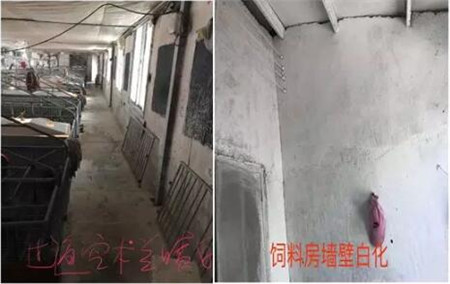 “规模化猪场产房细节管理”标准化操作系列一