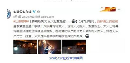 养猪人注意！因没做好这点，安徽一养殖场突遭火灾...