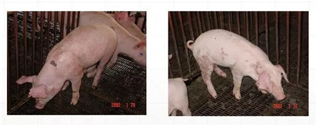 夏季炎热潮湿，这几种病可要注意喔！