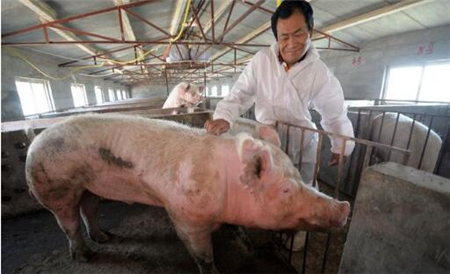 听说猪价行情马上要涨了，你手里还有猪吗？