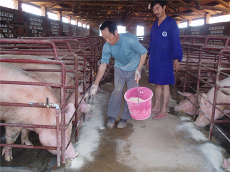 养猪人进场忠告：投入不起，将进不了养殖业！