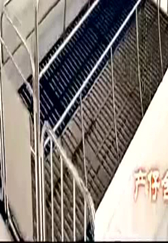 养猪实用设计！国内某猪场建设3D原理视频