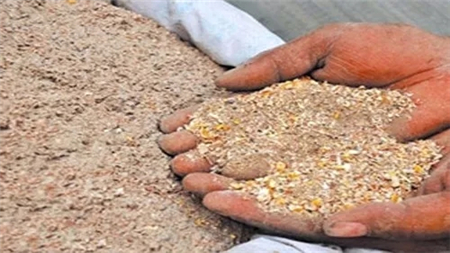 真员工吃里扒外！假饲料换包装当“正品”销售！