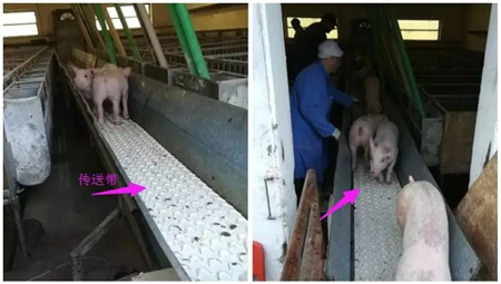脑洞大开——如何实现高效转群？