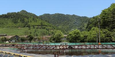 重磅！环境部全面启动中央环保督察“回头看”！