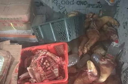 1000多斤病死猪肉流向大排档和宵夜店……