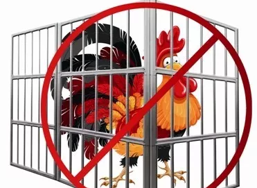 澳门禁售活禽一周年，现在怎么样了？